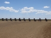 The Cadillac Ranch